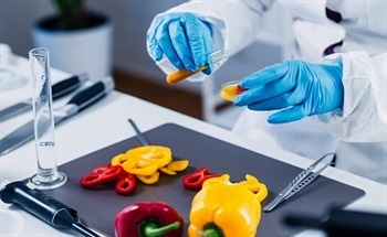 Are "Graphene Wearables" the Solutions to Food Inspection?
