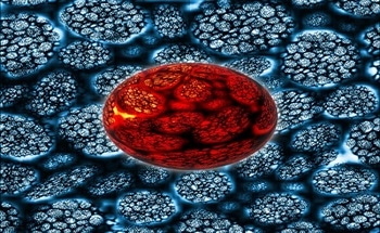 Nanogels in Medicine