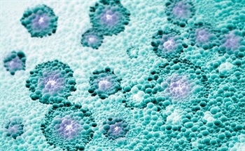 Synthesizing Nanoparticles Using Biological Systems
