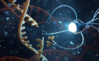 The Applications of Nanorobotics in the Biomedical Industry