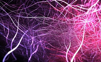 Electrospinning as a Technique for Energy Storage