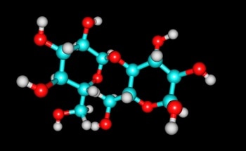 The Applications of Carbohydrate Polymers