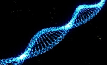 Nanoscale Observation of DNA Using AFM and Super-Resolution Microscopy