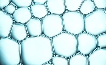 What is Atomic Force Microscopy for Cell Imaging?
