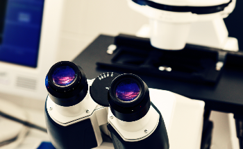 Comparing Optical and Electron Microscopy for Nanomaterial Analysis