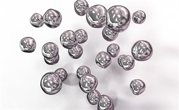 Analysing the Elemental Composition of Single Nanoparticles