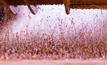 Improving the Rheology of Drilling Fluid with Nanoparticles
