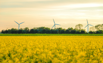 Nanotechnology in Sustainable Agriculture: Recent Developments,  Challenges, and Perspectives