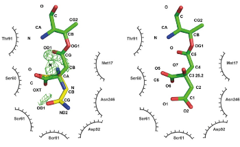 Macromolecular Crystallography for Determining 3D Structures