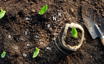 The Use of Nanotechnology in Fertilizers