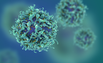 Treating Side Effects in Cancer Using Sugar-Coated Nanoparticles