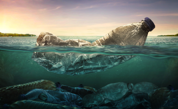 How Polymers Analyze Nanoplastics in the Environment