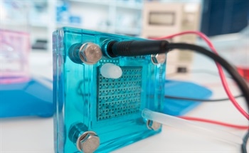 Turning Single Atoms into Atomic Machines: The Future of Fuel Cells