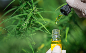 The Techniques Used to Catch Cannabidiol Fraud