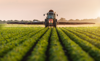 Current Developments in Nanotechnology for the Agricultural Sector