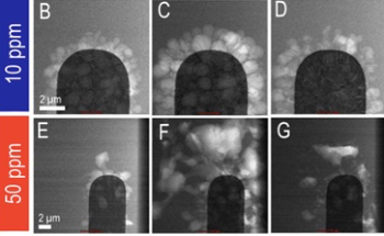 Understanding In-Situ Electrochemistry for TEM
