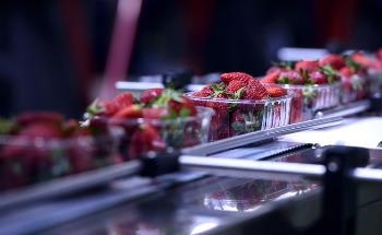 How is Nanotechnology Used in the Food Industry?