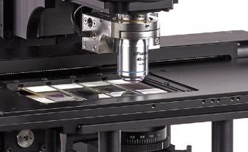 How an XY Stage Can Upgrade a Microscope