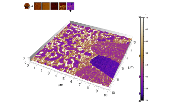 An SPIP™ User's Perspective on the Transition to MountainsSPIP® for AFM Analysis