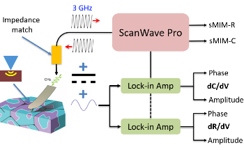 Atomic Force Microscopy: New Developments and Advances
