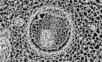 Nanoporous, Nanofiber, and Nanowire-Based Materials