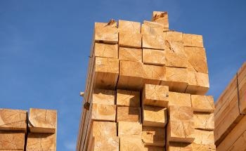 How Nanosilver May Improve Heat Treatment Effects of Pine Wood