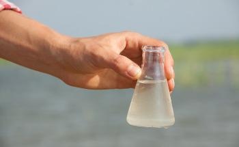 How Nanotechnology is Leading the Way in Pollution Control