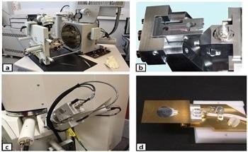 Serial Block-Face Scanning Electron Microscopy: How to Improve Image Quality