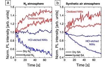 Role of Main Air Constituents in the Efficiency of GaN Nanostructures