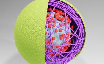 What are Nanocapsules?