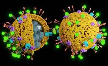 Using Hybrid Nanoparticles to Deliver siRNA to Different Cell Types