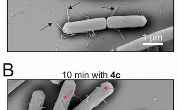NANO-LLPO: Using Nanomaterials to Heal Wounds