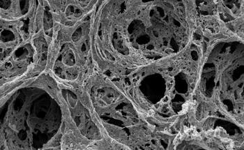 Applications of Anodic Aluminum Oxide Nanomaterials