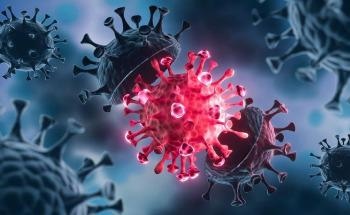 Effect of Nano-Perovskite Structure on Suppressing the SARS-CoV-2 Infection