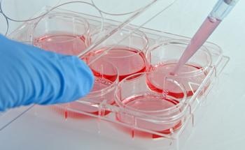 An Overview of Gold Thin Films: From Sensors to Cell Culture