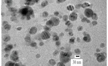 Green Synthesis of Silver Nanoparticles for Biomedical Applications