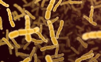 Antibacterial Abilities of Au Nanoparticles are Size-Dependent
