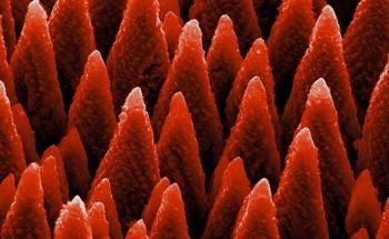 Using AFM for Nanostructure Analysis