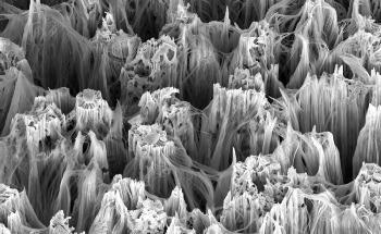 The Role of Nanowires in Advancing X-Ray Imaging