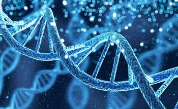 Polymeric Nanoparticles and the Future of Gene Delivery Methods