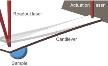 Determining Mass of Individual Micron-Sized Particles