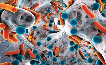Building Computer Chips From Bacteria - New Technology