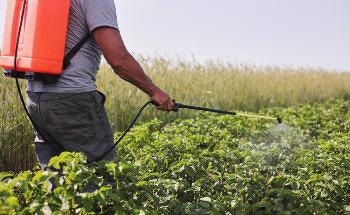 Developing Nanoinsecticides to Tackle Common Agricultural Pest