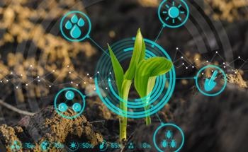Utilizing Nanoinformatics in Agriculture