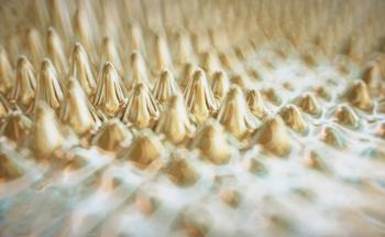 What is Nanomechanics?