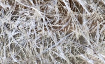 Thermal Analysis; A Useful Tool for Nanocomposite Analysis