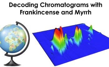 Understand the Mapping of GCxGC