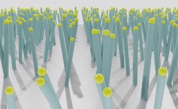 Flexible Technique for Synthesis of Silicon Nanowires on Carbon Cloth for Li-Ion Battery Applications
