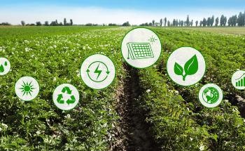 Magnetic Nanomaterials in the Agritech Sector