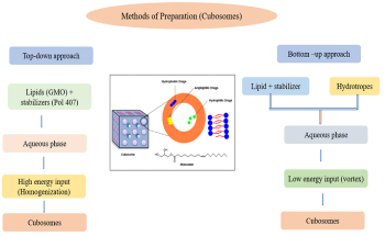 Bioactive-Loaded Nanotechnology Applications for Drug Discovery
